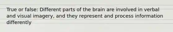 True or false: Different parts of the brain are involved in verbal and visual imagery, and they represent and process information differently