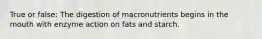 True or false: The digestion of macronutrients begins in the mouth with enzyme action on fats and starch.