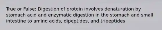 True or False: Digestion of protein involves denaturation by stomach acid and enzymatic digestion in the stomach and small intestine to amino acids, dipeptides, and tripeptides