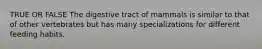 TRUE OR FALSE The digestive tract of mammals is similar to that of other vertebrates but has many specializations for different feeding habits.