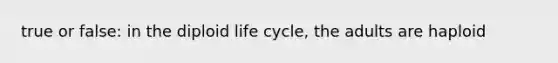 true or false: in the diploid life cycle, the adults are haploid