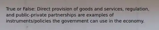 True or False: Direct provision of goods and services, regulation, and public-private partnerships are examples of instruments/policies the government can use in the economy.