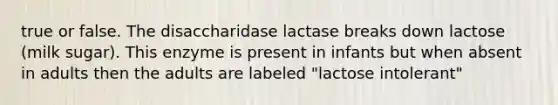 true or false. The disaccharidase lactase breaks down lactose (milk sugar). This enzyme is present in infants but when absent in adults then the adults are labeled "lactose intolerant"