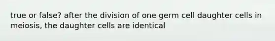 true or false? after the division of one germ cell daughter cells in meiosis, the daughter cells are identical