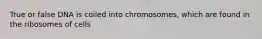 True or false DNA is coiled into chromosomes, which are found in the ribosomes of cells