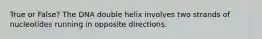 True or False? The DNA double helix involves two strands of nucleotides running in opposite directions.