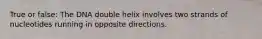True or false: The DNA double helix involves two strands of nucleotides running in opposite directions.