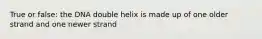 True or false: the DNA double helix is made up of one older strand and one newer strand