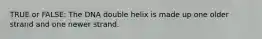 TRUE or FALSE: The DNA double helix is made up one older strand and one newer strand.