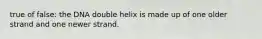 true of false: the DNA double helix is made up of one older strand and one newer strand.