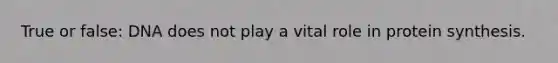 True or false: DNA does not play a vital role in protein synthesis.