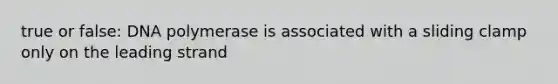 true or false: DNA polymerase is associated with a sliding clamp only on the leading strand