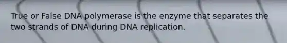 True or False DNA polymerase is the enzyme that separates the two strands of DNA during DNA replication.