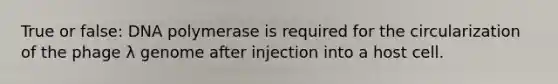 True or false: DNA polymerase is required for the circularization of the phage λ genome after injection into a host cell.