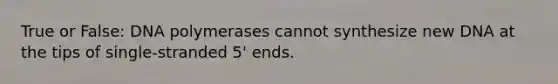 True or False: DNA polymerases cannot synthesize new DNA at the tips of single-stranded 5' ends.