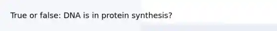 True or false: DNA is in protein synthesis?