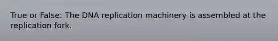 True or False: The DNA replication machinery is assembled at the replication fork.