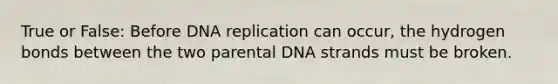 True or False: Before DNA replication can occur, the hydrogen bonds between the two parental DNA strands must be broken.