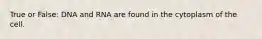True or False: DNA and RNA are found in the cytoplasm of the cell.