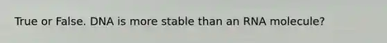 True or False. DNA is more stable than an RNA molecule?