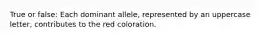 True or false: Each dominant allele, represented by an uppercase letter, contributes to the red coloration.