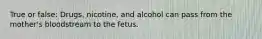 True or false: Drugs, nicotine, and alcohol can pass from the mother's bloodstream to the fetus.