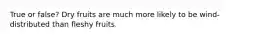 True or false? Dry fruits are much more likely to be wind-distributed than fleshy fruits.