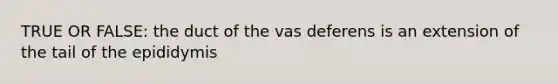 TRUE OR FALSE: the duct of the vas deferens is an extension of the tail of the epididymis