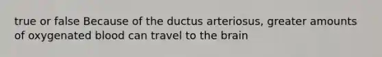 true or false Because of the ductus arteriosus, greater amounts of oxygenated blood can travel to the brain