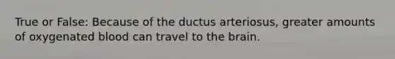 True or False: Because of the ductus arteriosus, greater amounts of oxygenated blood can travel to the brain.