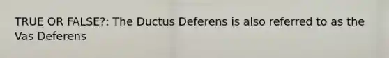 TRUE OR FALSE?: The Ductus Deferens is also referred to as the Vas Deferens