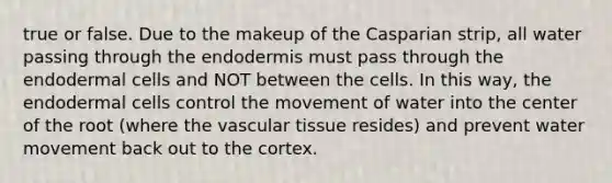 true or false. Due to the makeup of the Casparian strip, all water passing through the endodermis must pass through the endodermal cells and NOT between the cells. In this way, the endodermal cells control the movement of water into the center of the root (where the vascular tissue resides) and prevent water movement back out to the cortex.