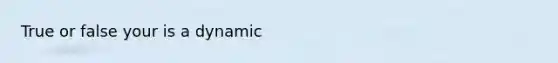 True or false your is a dynamic