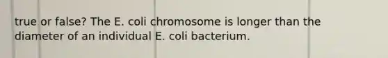 true or false? The E. coli chromosome is longer than the diameter of an individual E. coli bacterium.