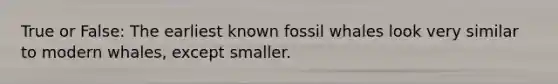 True or False: The earliest known fossil whales look very similar to modern whales, except smaller.