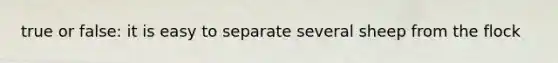 true or false: it is easy to separate several sheep from the flock