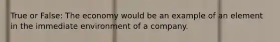 True or False: The economy would be an example of an element in the immediate environment of a company.