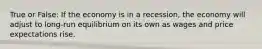 True or False: If the economy is in a recession, the economy will adjust to long-run equilibrium on its own as wages and price expectations rise.