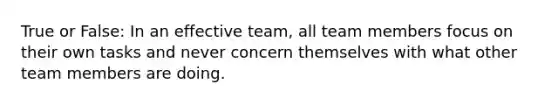 True or False: In an effective team, all team members focus on their own tasks and never concern themselves with what other team members are doing.