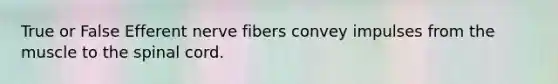 True or False Efferent nerve fibers convey impulses from the muscle to the spinal cord.