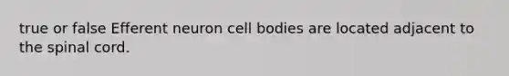 true or false Efferent neuron cell bodies are located adjacent to the spinal cord.