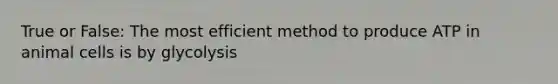 True or False: The most efficient method to produce ATP in animal cells is by glycolysis