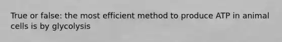 True or false: the most efficient method to produce ATP in animal cells is by glycolysis