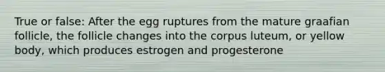 True or false: After the egg ruptures from the mature graafian follicle, the follicle changes into the corpus luteum, or yellow body, which produces estrogen and progesterone
