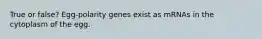 True or false? Egg-polarity genes exist as mRNAs in the cytoplasm of the egg.