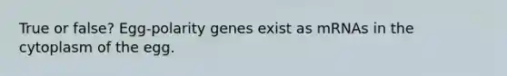 True or false? Egg-polarity genes exist as mRNAs in the cytoplasm of the egg.