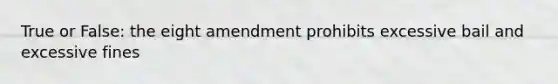 True or False: the eight amendment prohibits excessive bail and excessive fines