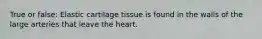 True or false: Elastic cartilage tissue is found in the walls of the large arteries that leave the heart.