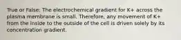 True or False: The electrochemical gradient for K+ across the plasma membrane is small. Therefore, any movement of K+ from the inside to the outside of the cell is driven solely by its concentration gradient.