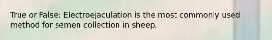 True or False: Electroejaculation is the most commonly used method for semen collection in sheep.